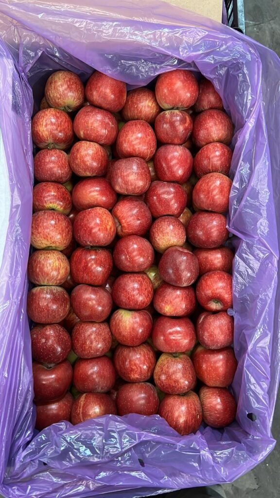 Manzana Roja Chica